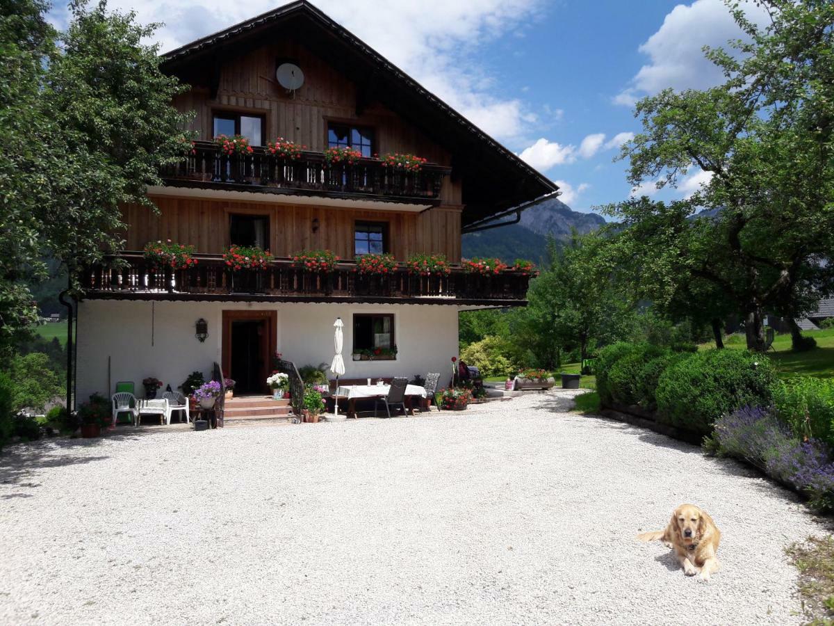 Haus Galler - Urlaub Am Bauernhof Bad Aussee Eksteriør billede